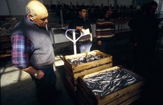 Pilar Unzalu señala que el "buen dato" de la Biomasa de la anchoa avala la continuidad de esta pesquería