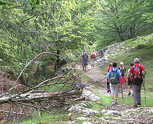 Video Encuentro de las Asociaciones de Amigos del Camino de Santiago