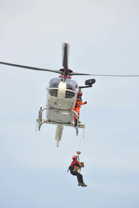 Simulacro_emergencias5