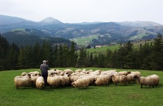 Euskadi tiene 12 nuevos pastores profesionales
