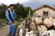 Euskadi tiene 12 nuevos pastores profesionales