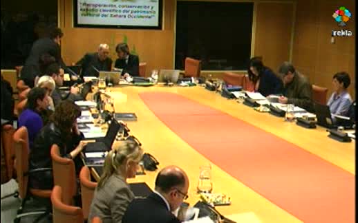 Video Comparecencia: consejera de Cultura (4-04-2011) 8ª parte