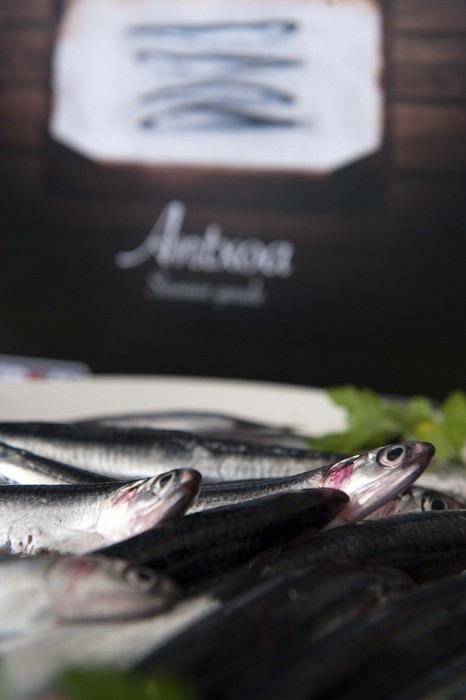 Anchoas16