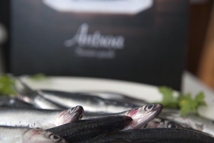 Anchoas17
