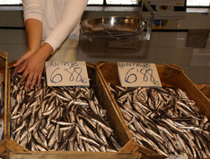 Presentación de la campaña "Ha llegado el tesoro del Cantábrico" para impulsar el consumo de la Anchoa del Cantábrico