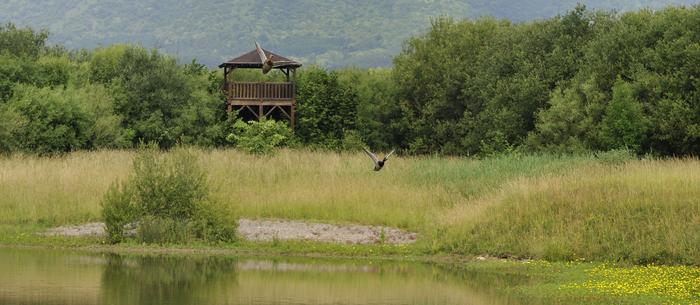 2011_05_31_consejo_irun_txingudi_mirador_patos