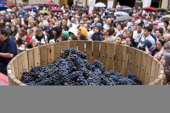 2011_09_18_lehen_vendimia_057