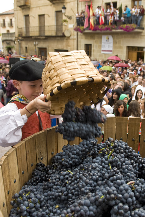 2011_09_18_lehen_vendimia_067