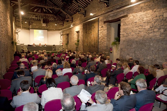 2011_09_29_jornadas_funcion_consultiva18
