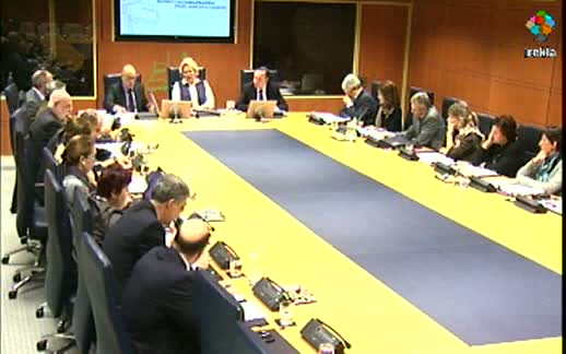 Video Comparecencia: Consejero de Interior. (29-11-2011)