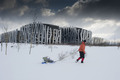 2012_02_03_temporal_nieve29