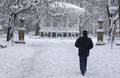 2012_02_03temporal_nieve20