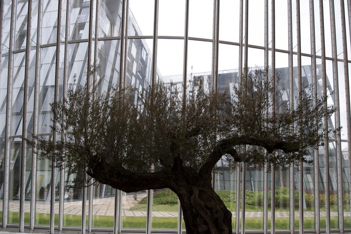 2012_02_21_torre_iberdrola_03