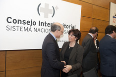 Bengoa asiste al Consejo Interterritorial de Salud