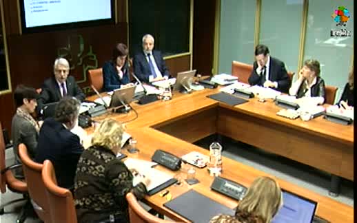 Video Comparecencia: Presidente del Tribunal Vasco de Cuentas Públicas (13-3-2012)