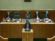 Pleno_ordinario02