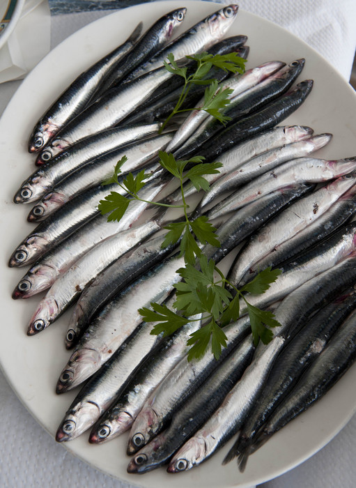2012_05_03_unzalu_presentacion_anchoa_02