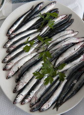 Pilar Unzalu presenta la campaña 'Ha llegado el tesoro del Cantábrico' para promocionar la anchoa, cuya pesquería avanza hacia la normalización 