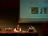 08_informacion_geografica_en_el_servicio_de_ordenacion_territorial_rafael_sanchez_guerras_08