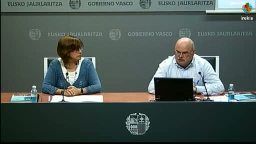 Video Euskal Federazioen egoeraren ikerlana