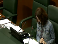 Pleno_ordinario_03